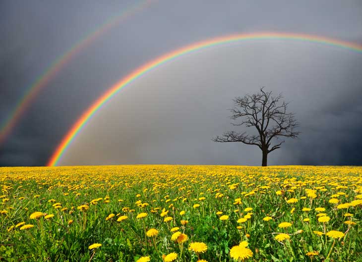  YOUR RAINBOW BODY: Discovering our personality differences and auras ...