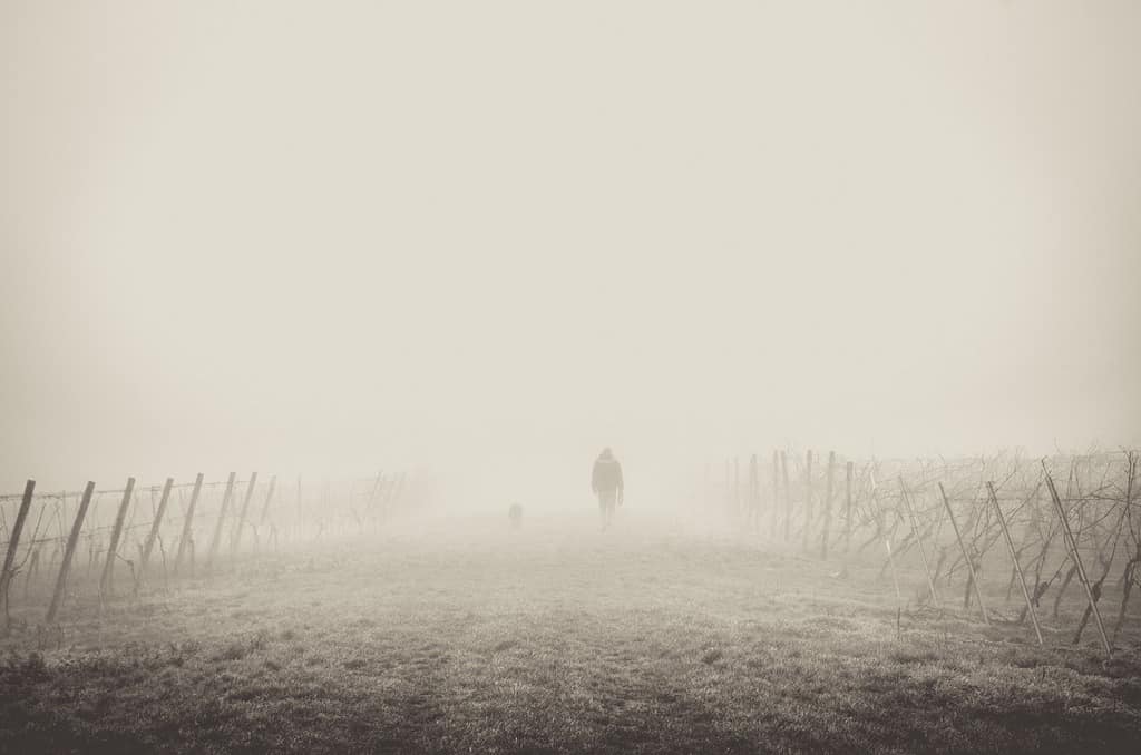 DREAM INTERPRETATION You're making strides to integrate precious