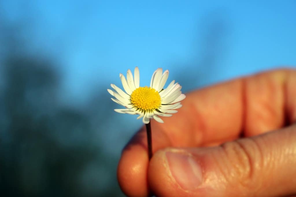 Self Compassion 3 Ways To Be Kind To Yourself Self Compassion 3 Ways To Be Kind To Yourself