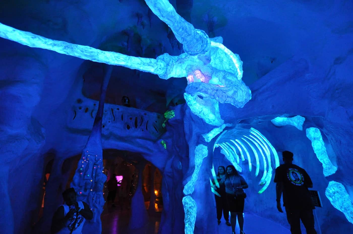 meow wolf santa fe pictures